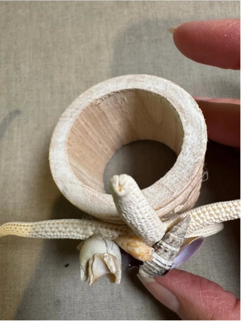 Unbranded Nautical Beach Seashell Starfish Napkin Rings Set of 3